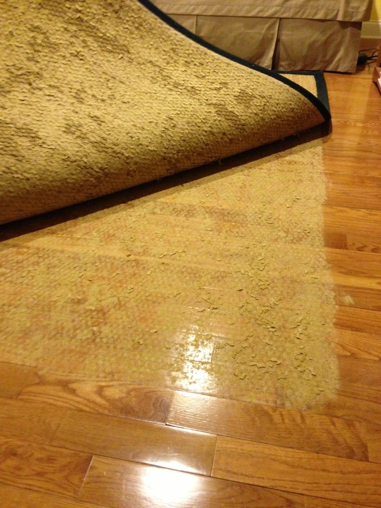 Pet Proof Rugs Solutions for Resistant Rugs • Queen Bee of Honey Dos